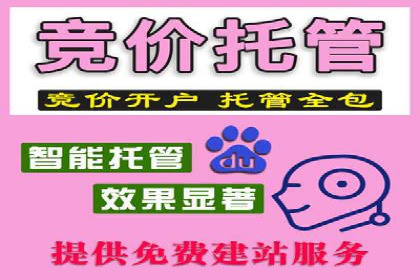 SEM竞价托管服务成功案例分享